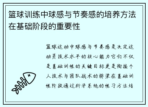 篮球训练中球感与节奏感的培养方法在基础阶段的重要性
